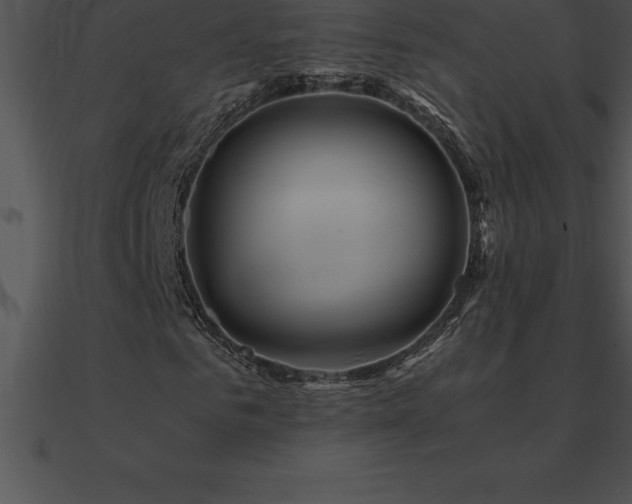 X0000090960961200708021413
