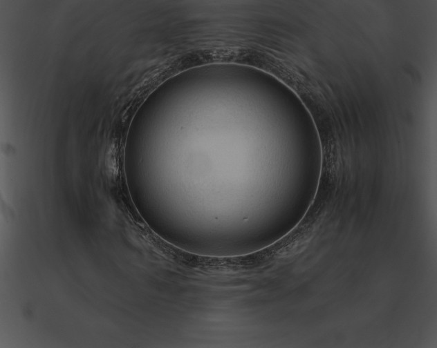 X0000090960962200708021413