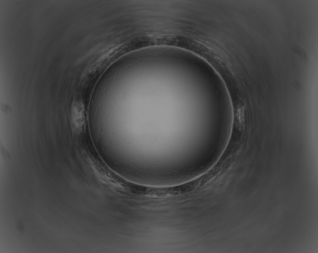 X0000090960963200708021413