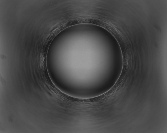 X0000090960964200708021413