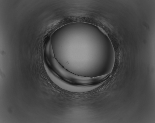 X0000090960965200708021413