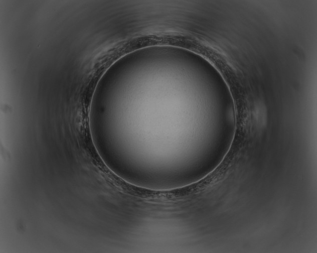 X0000090960966200708021412
