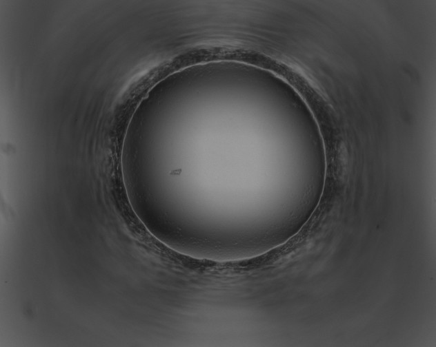 X0000090960967200708021412