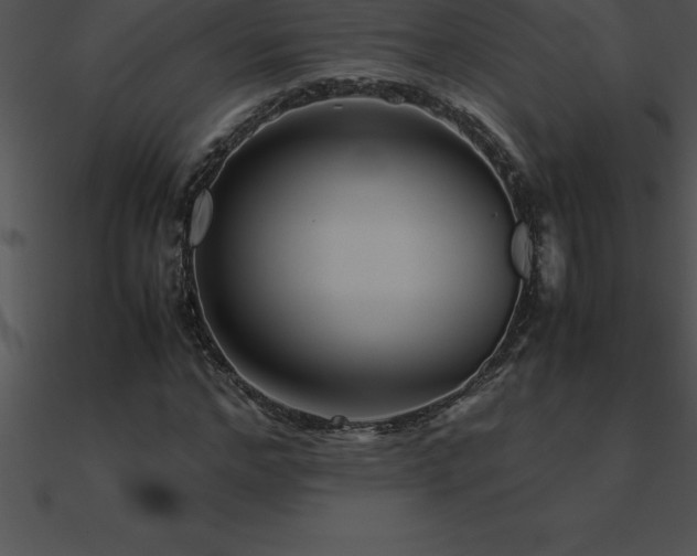 X0000090960968200708021412