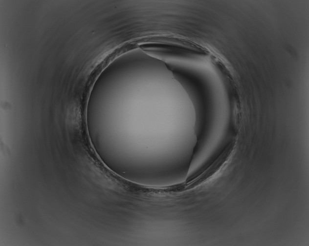 X0000090960969200708021412