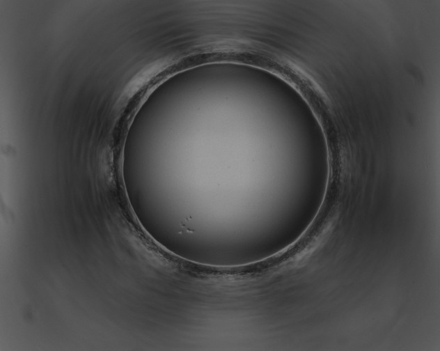 X0000090960970200708021412