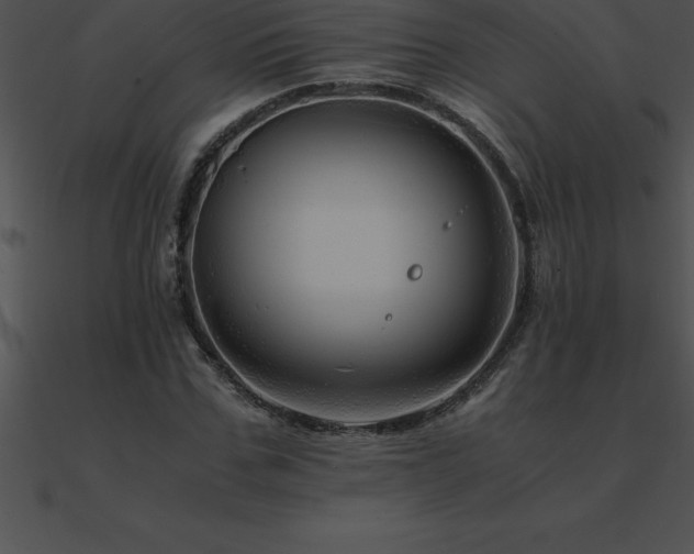 X0000090960971200708021412