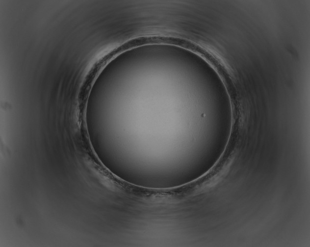 X0000090960974200708021412
