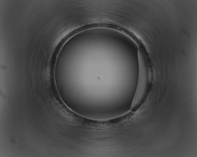 X0000090960975200708021412