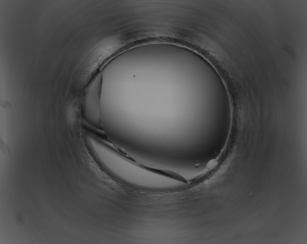 X0000090960977200708021412