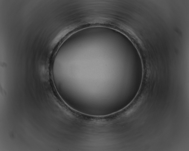 X0000090960978200708021412