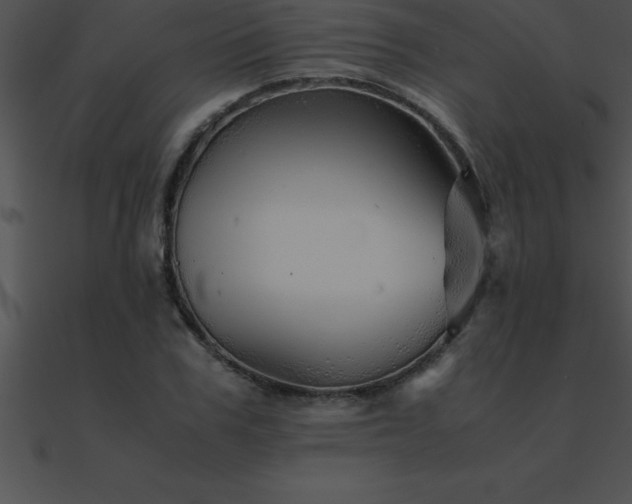 X0000090960979200708021412