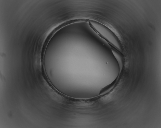 X0000090960980200708021412
