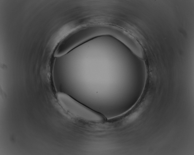 X0000090960981200708021412