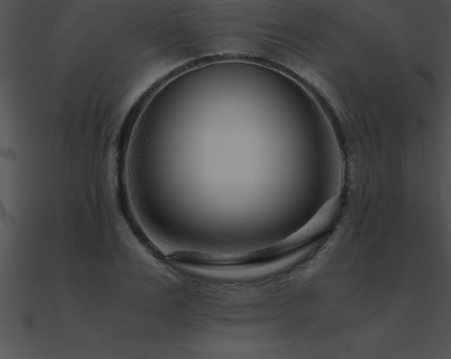 X0000090960983200708021412