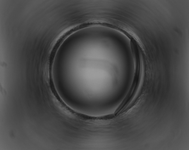X0000090960984200708021412