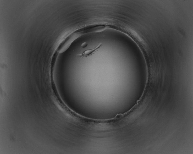 X0000090960986200708021412