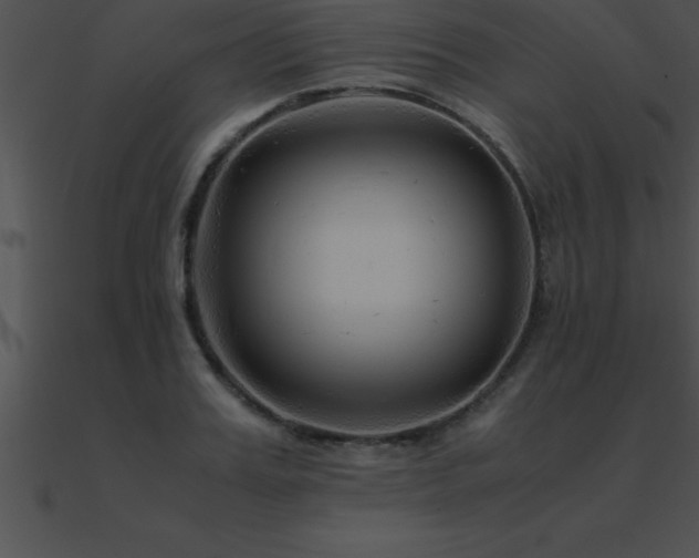 X0000090960987200708021412