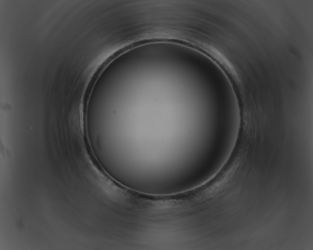 X0000090960988200708021412