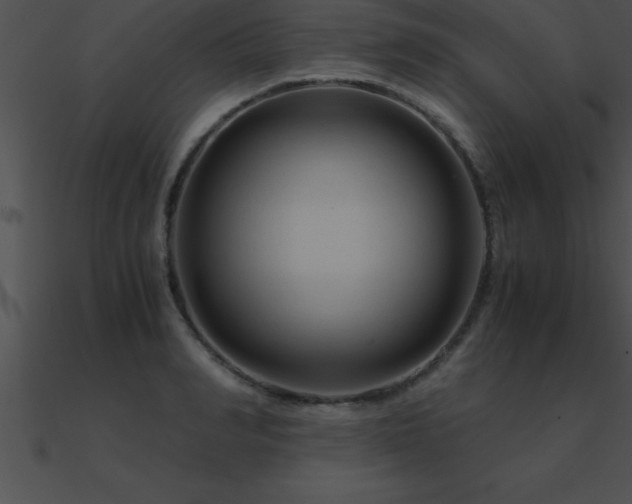 X0000090960990200708021412