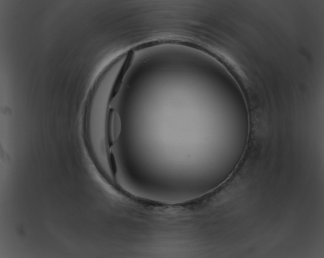 X0000090960991200708021412