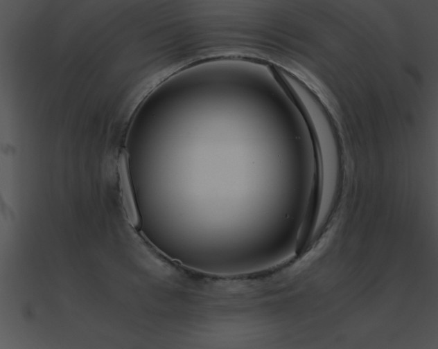 X0000090960993200708021412
