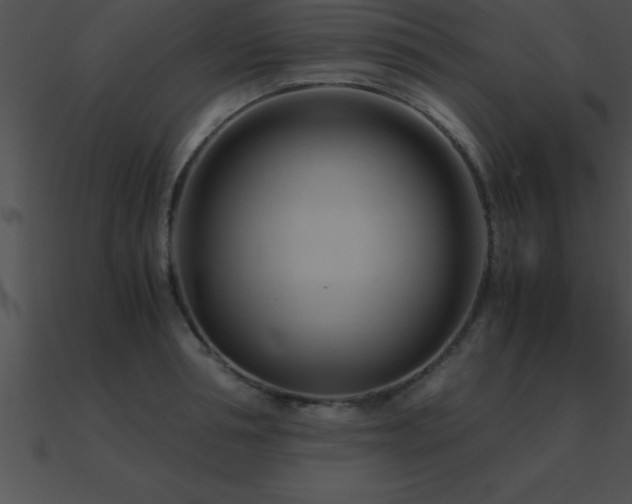 X0000090960994200708021412