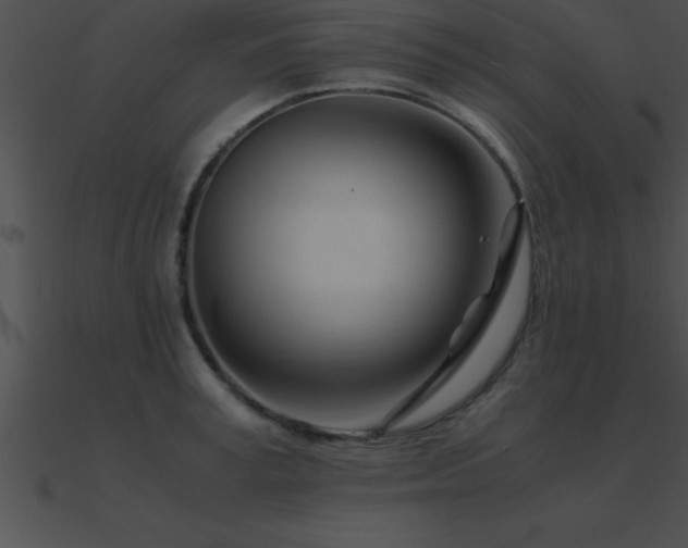 X0000090960995200708021412