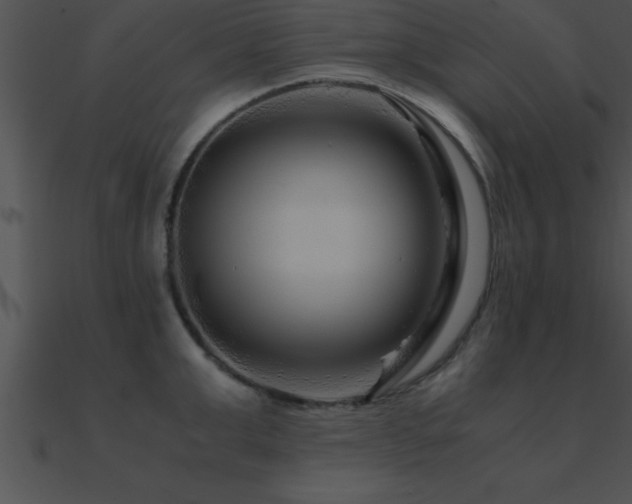 X0000090960999200708021412