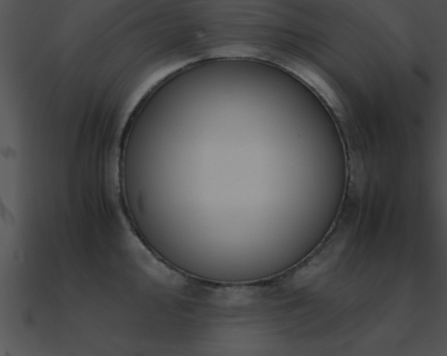 X0000090961000200708021412