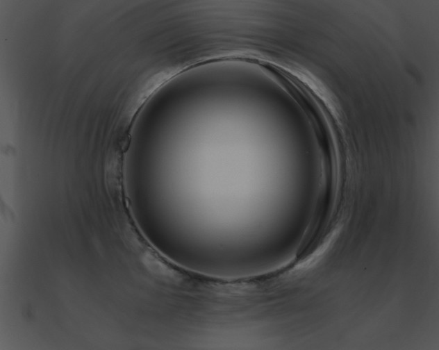 X0000090961001200708021412
