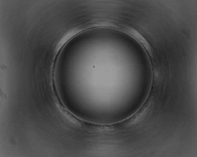 X0000090961002200708021412
