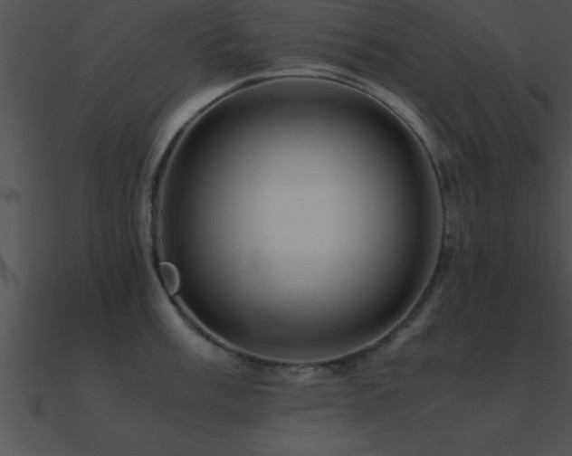 X0000090961003200708021412