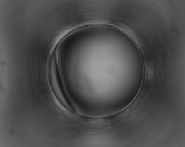X0000090961006200708021412