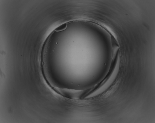 X0000090961007200708021412