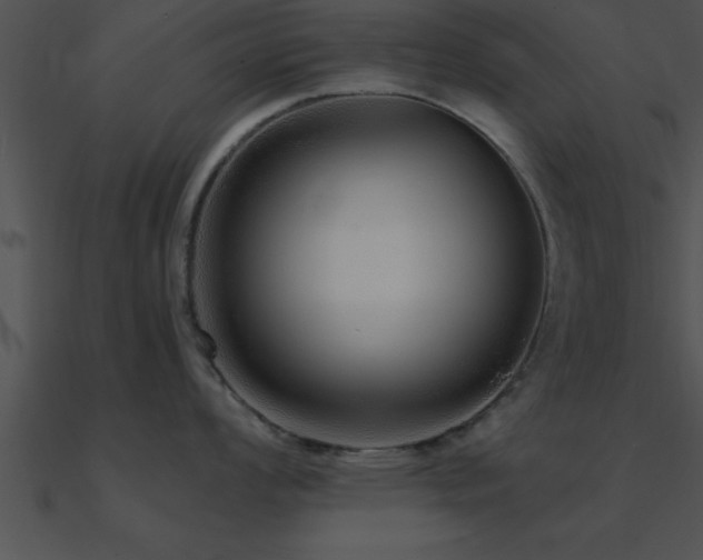 X0000090961008200708021412
