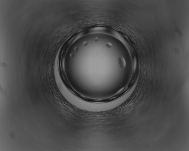 X0000090961010200708021411
