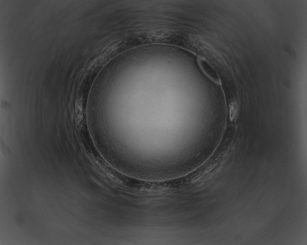 X0000090961011200708021411