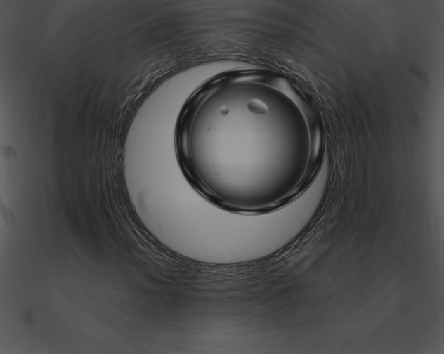 X0000090961012200708021411