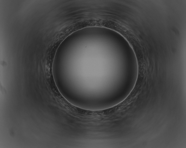 X0000090961013200708021411