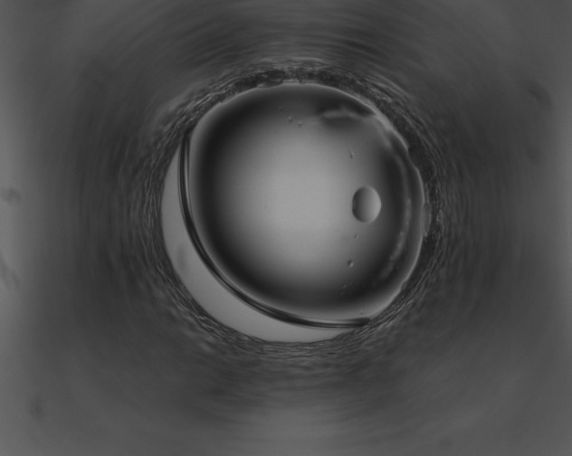 X0000090961014200708021411