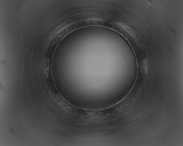 X0000090961015200708021411