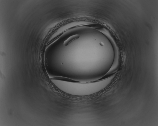 X0000090961016200708021411