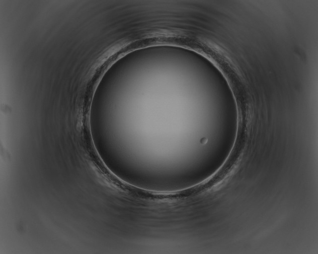 X0000090961017200708021411