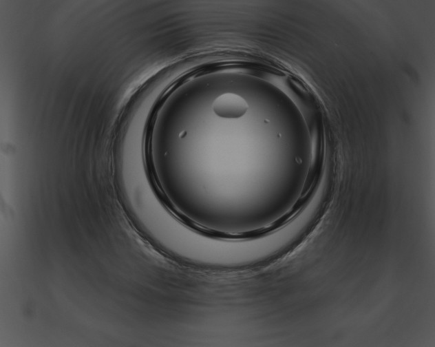 X0000090961018200708021411