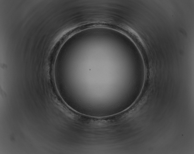 X0000090961019200708021411