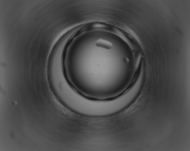 X0000090961020200708021411