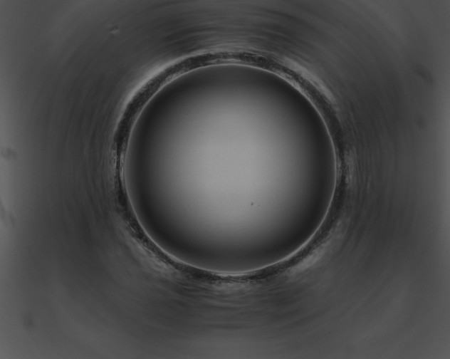 X0000090961021200708021411