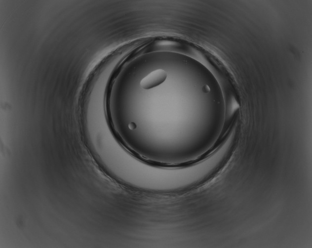 X0000090961022200708021411