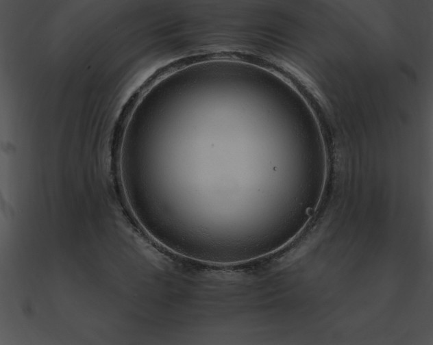 X0000090961023200708021412